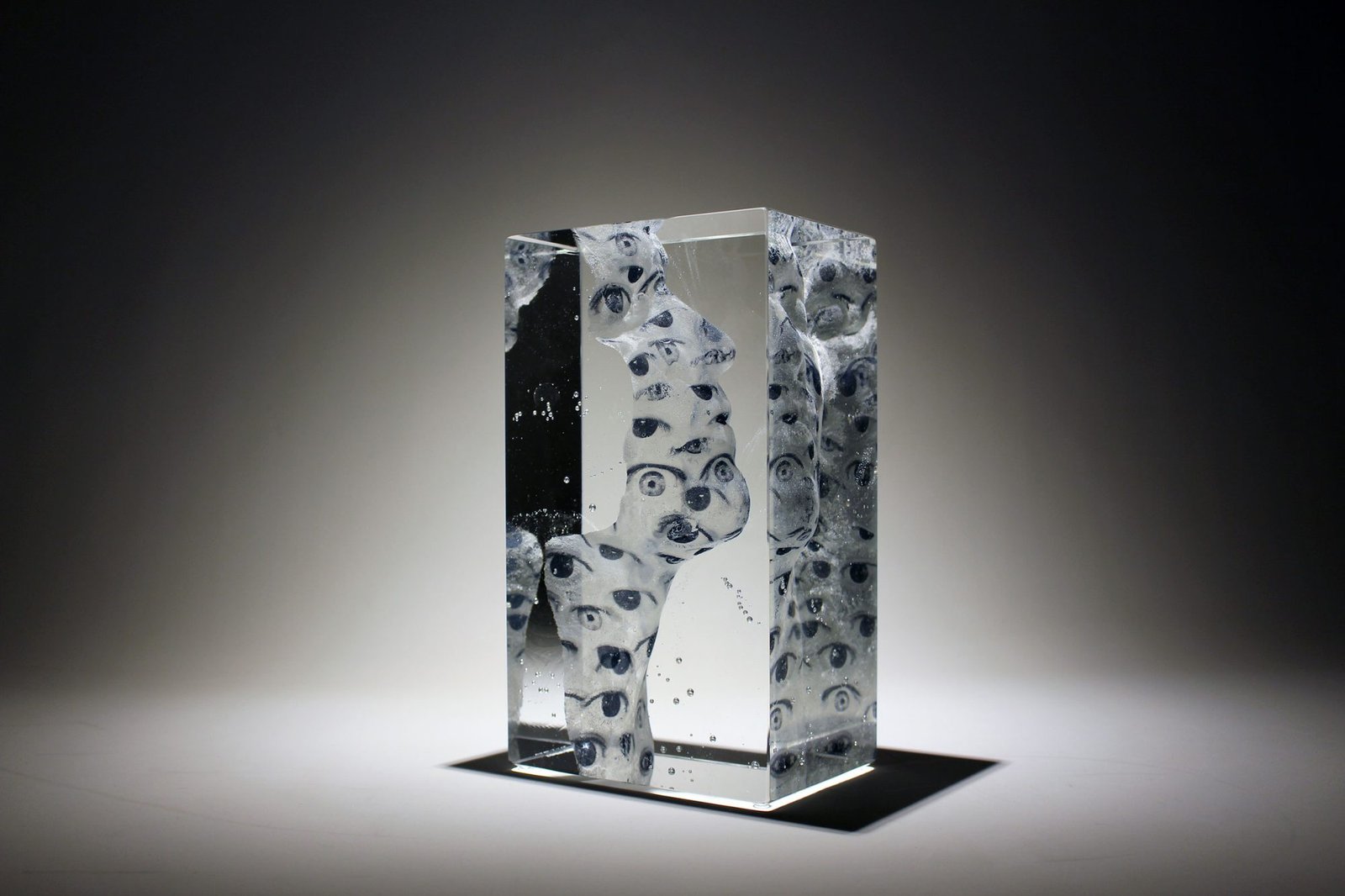 abadiesauques-voiledisisXII-web-3