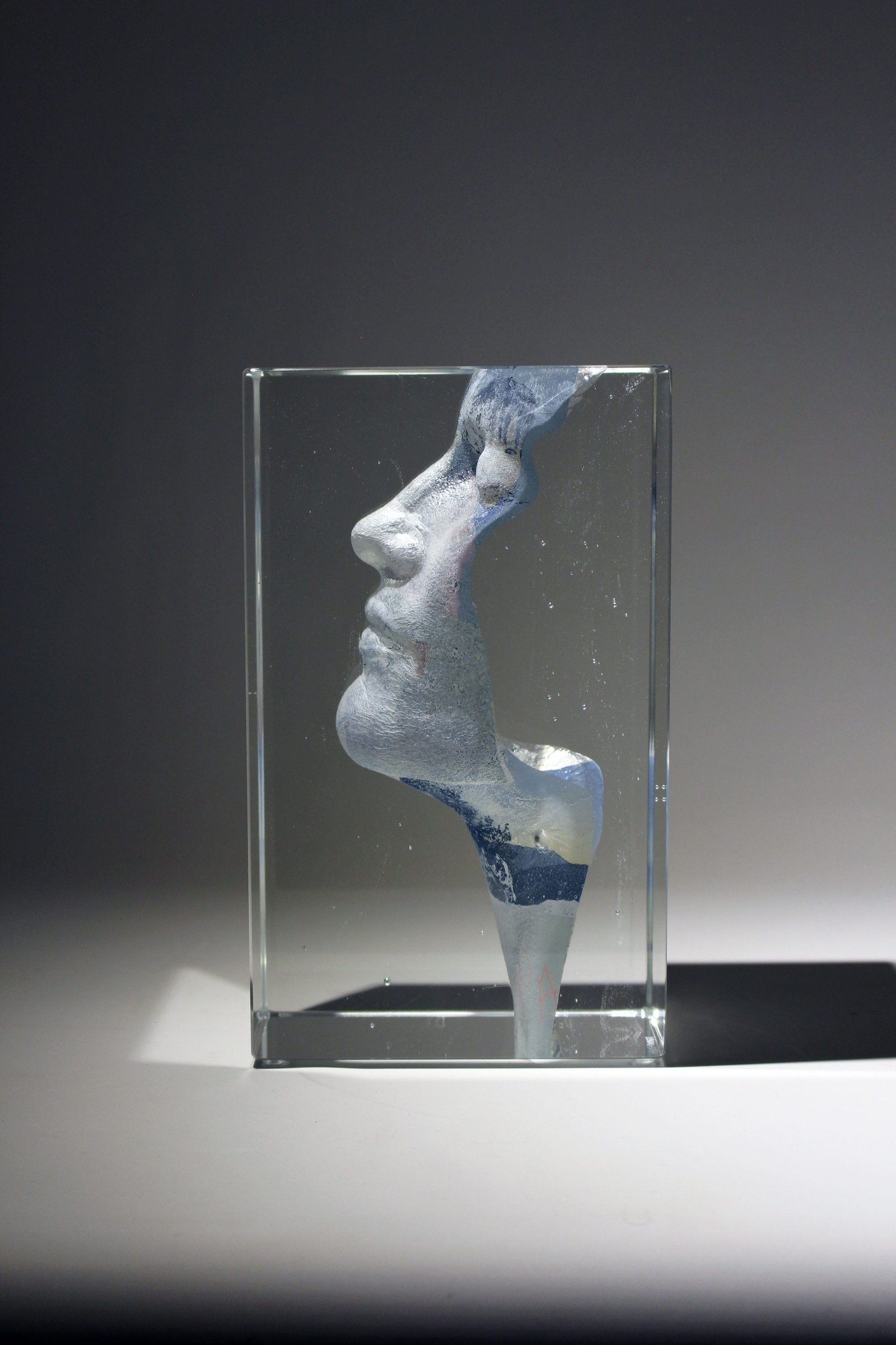 abadiesauques-OdysséeI-web-14